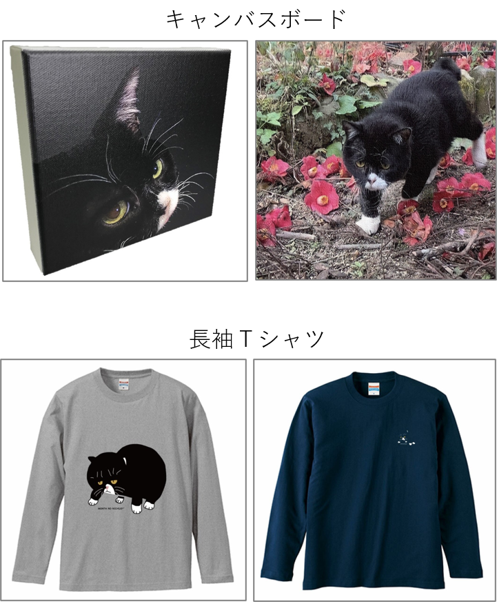 画像：トラベルバッグの製品画像